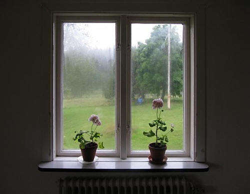 Цветы на окнах повышают влажность.