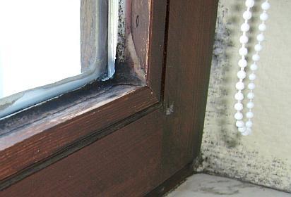 Конденсация влаги возможна и на пластиковых и на деревянных окнах.